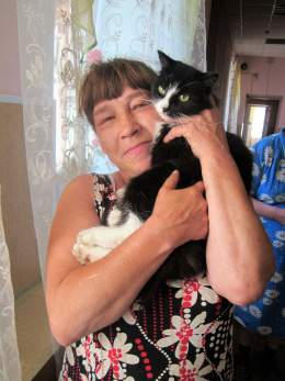 «Всё о кошках и котах» 